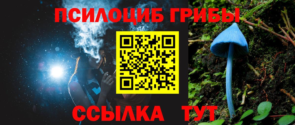 Псилоцибиновые грибы GOLDEN TEACHER Юрга